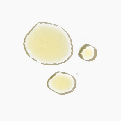Vitamin C Serum with Probiotics